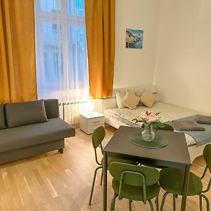 Appartement met een Slaapkamer